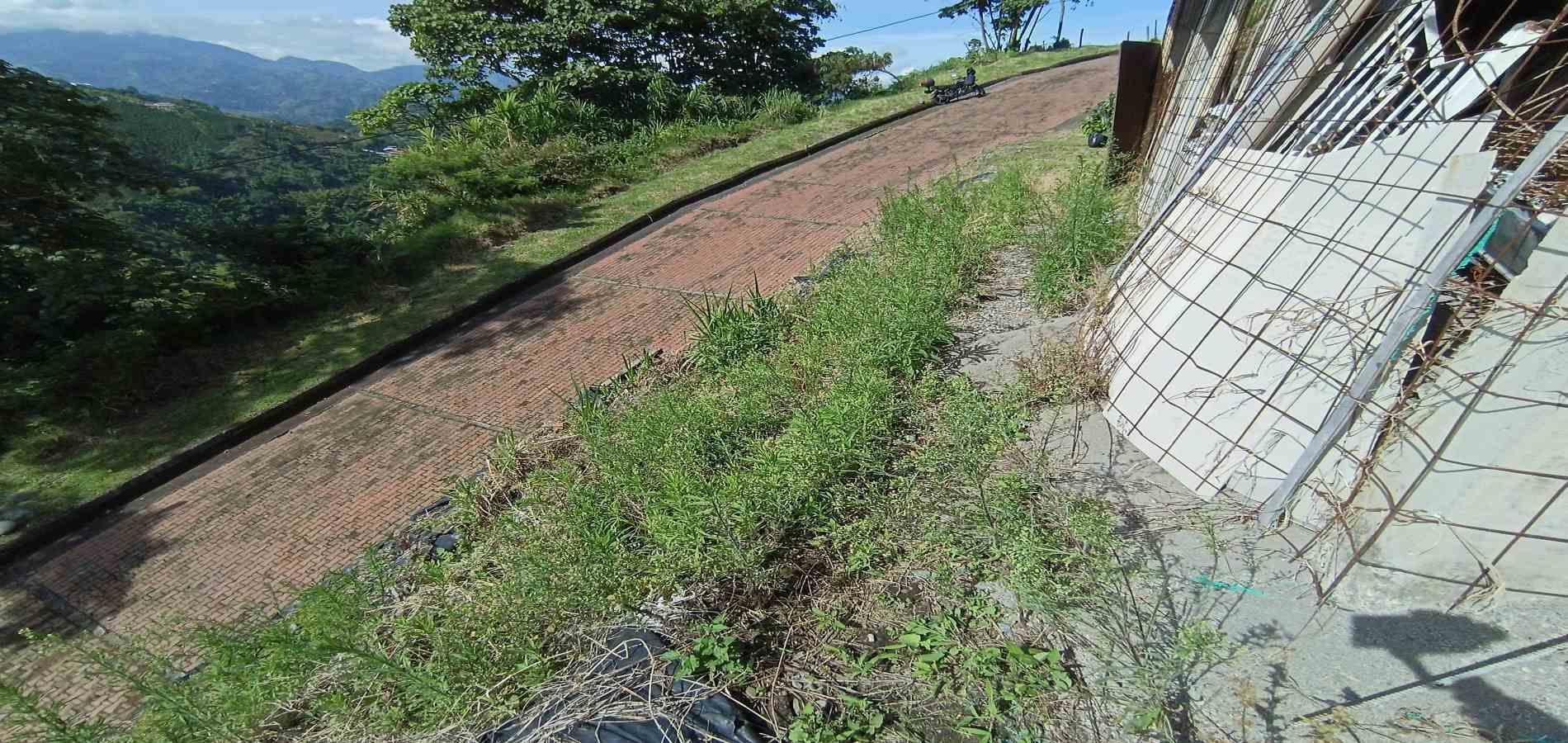 Foto de Lote / terreno en Venta en Vereda el tablazo, Manizales - 18 - 279067740