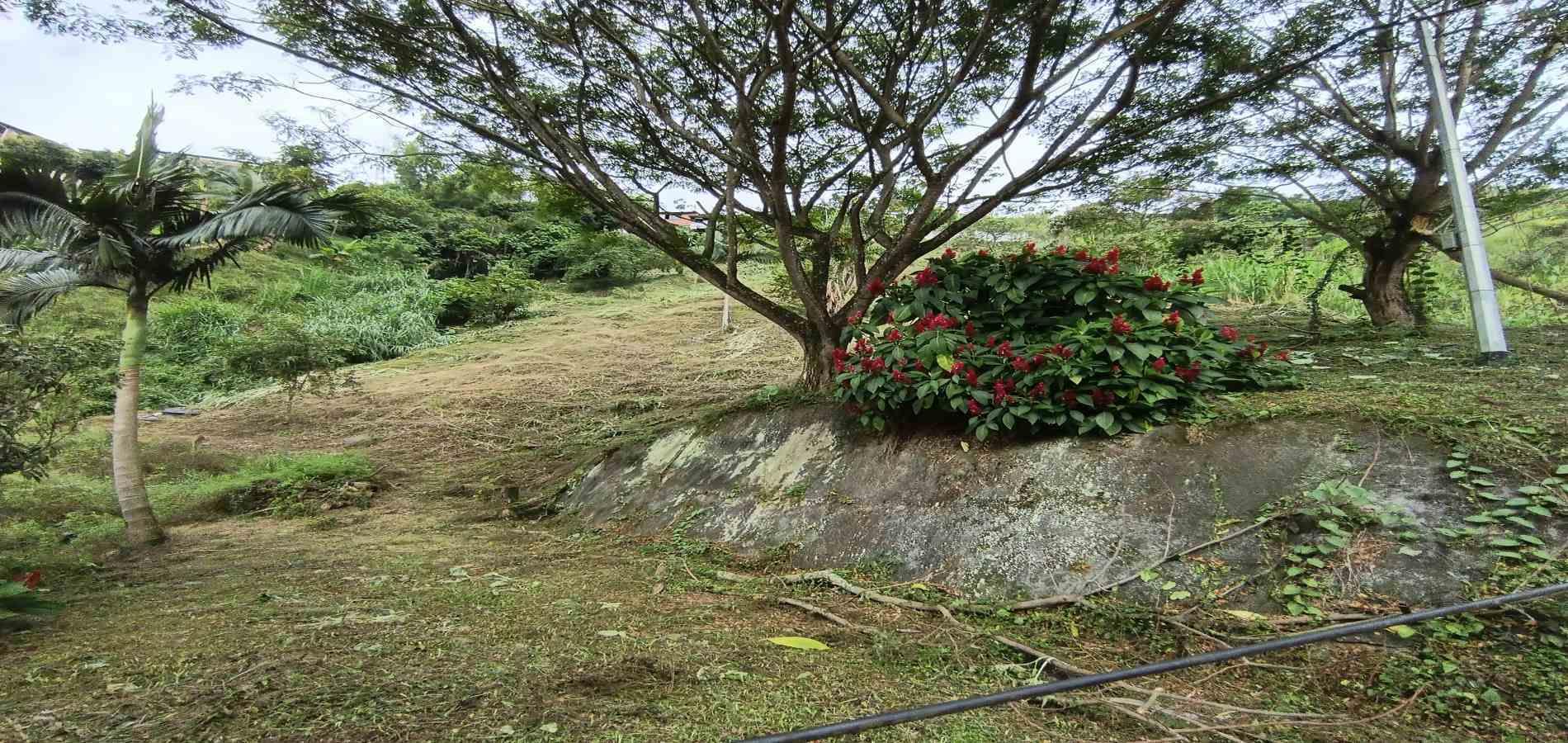 Foto de Lote / terreno en Venta en Vereda la trinidad, Manizales - 21 - 279066610