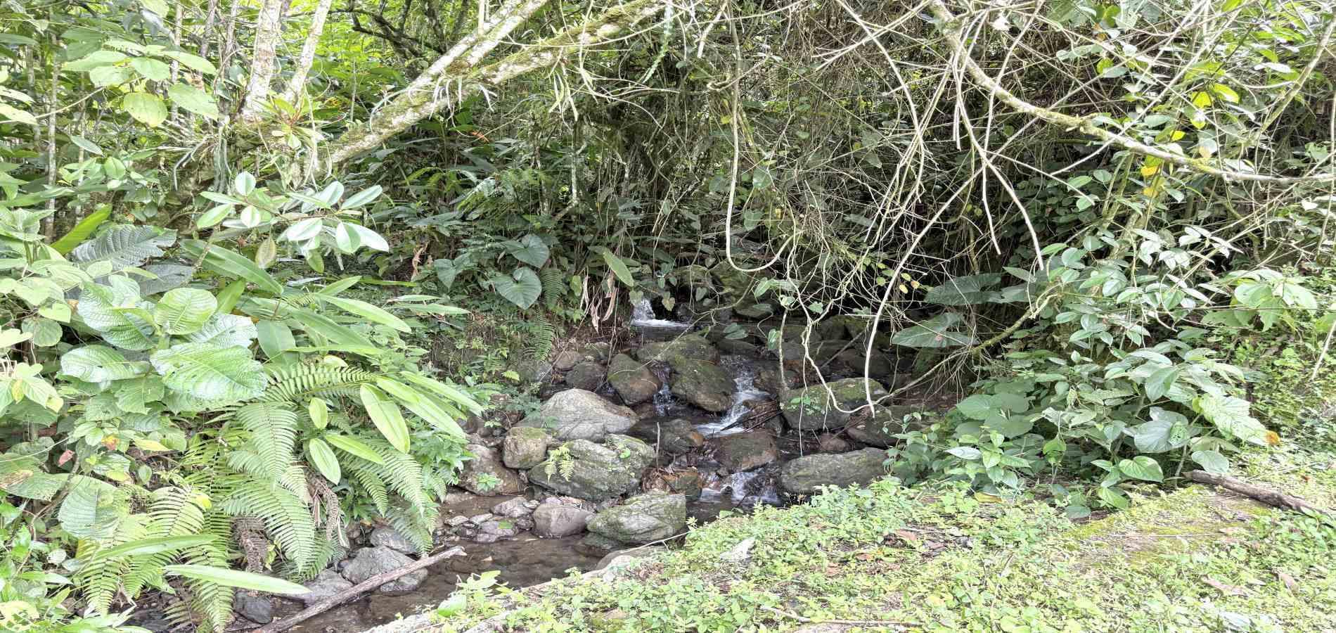 Foto de Finca en Venta en Agua azul, Dosquebradas - 28 - 279063271