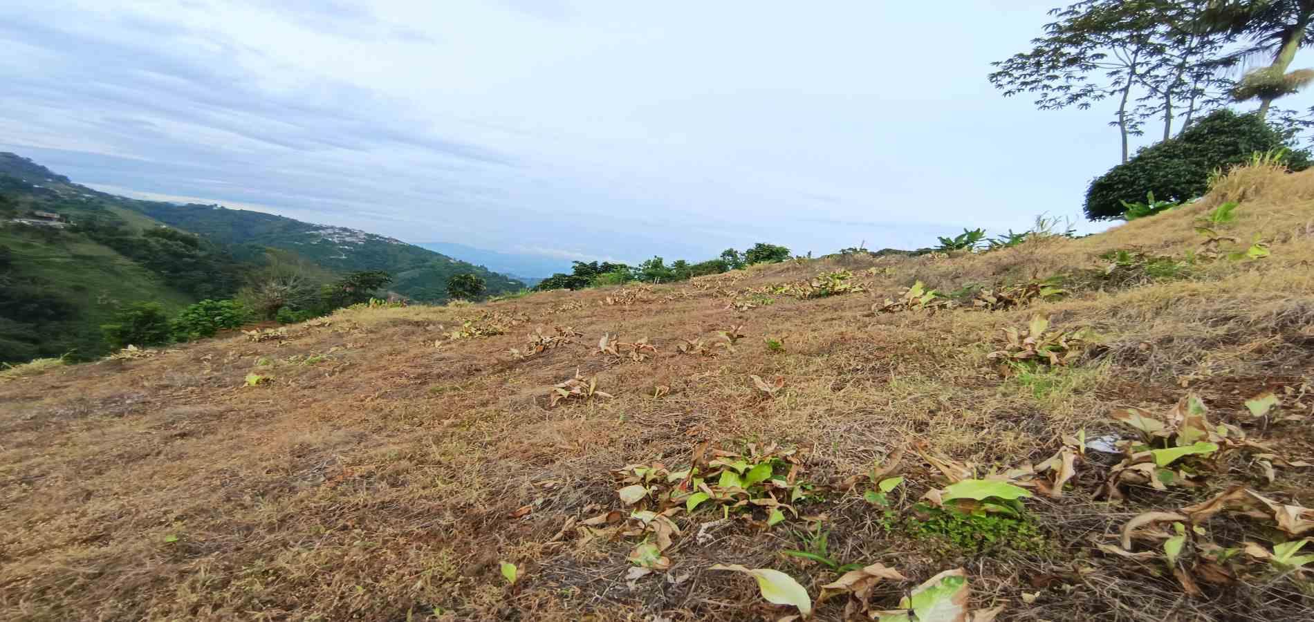 Foto de Lote / terreno en Arriendo en La linda, Manizales - 6 - 279069062