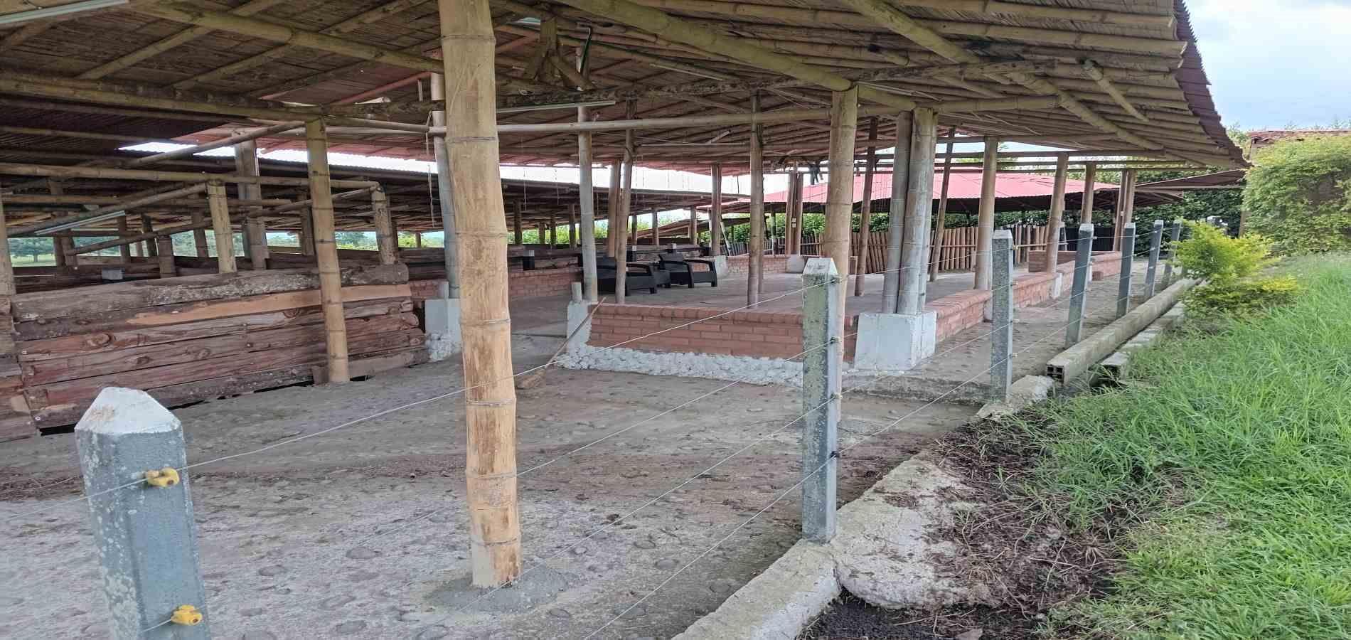 Foto de Finca en Venta en A dos cuadras del parque, Circasia - 12 - 279056832