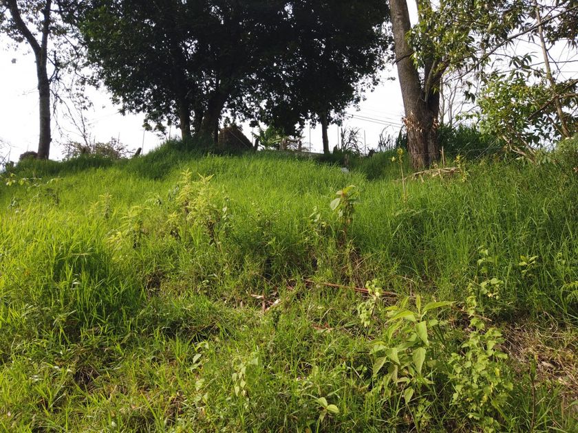 Foto de Lote / terreno en Venta en VillamarÍa, Villamaria - 17 - 279056144