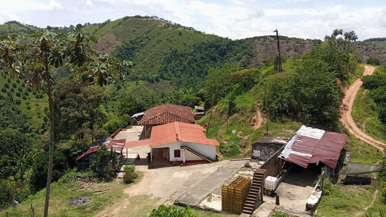 Foto de Finca en Venta en Vereda tambores - balboa, Pereira - 11 - 279070307