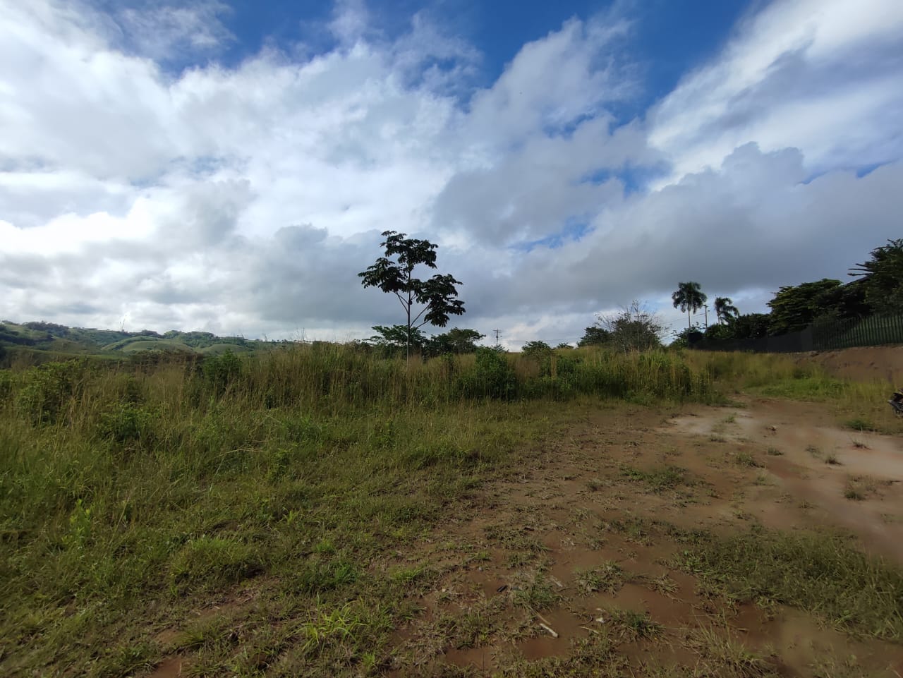 Foto de Lote / terreno en Venta en Cerritos, Pereira - 5 - 279063217