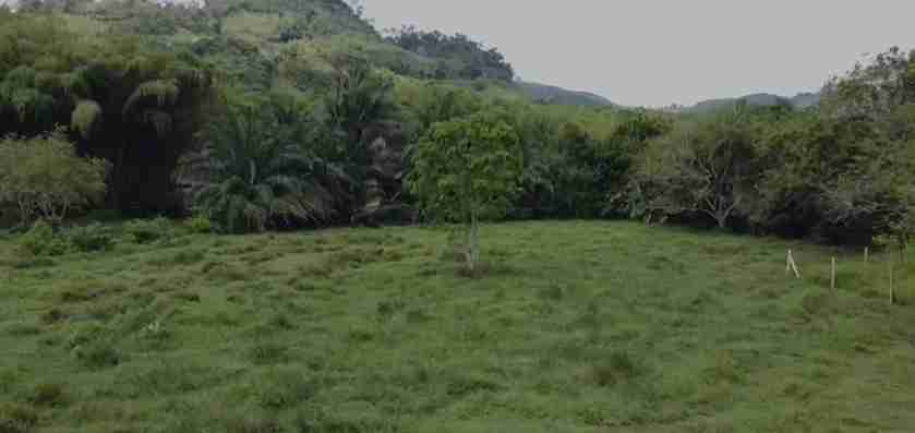Foto de Lote / terreno en Venta en Vereda santagueda, Palestina - 3 - 279057325