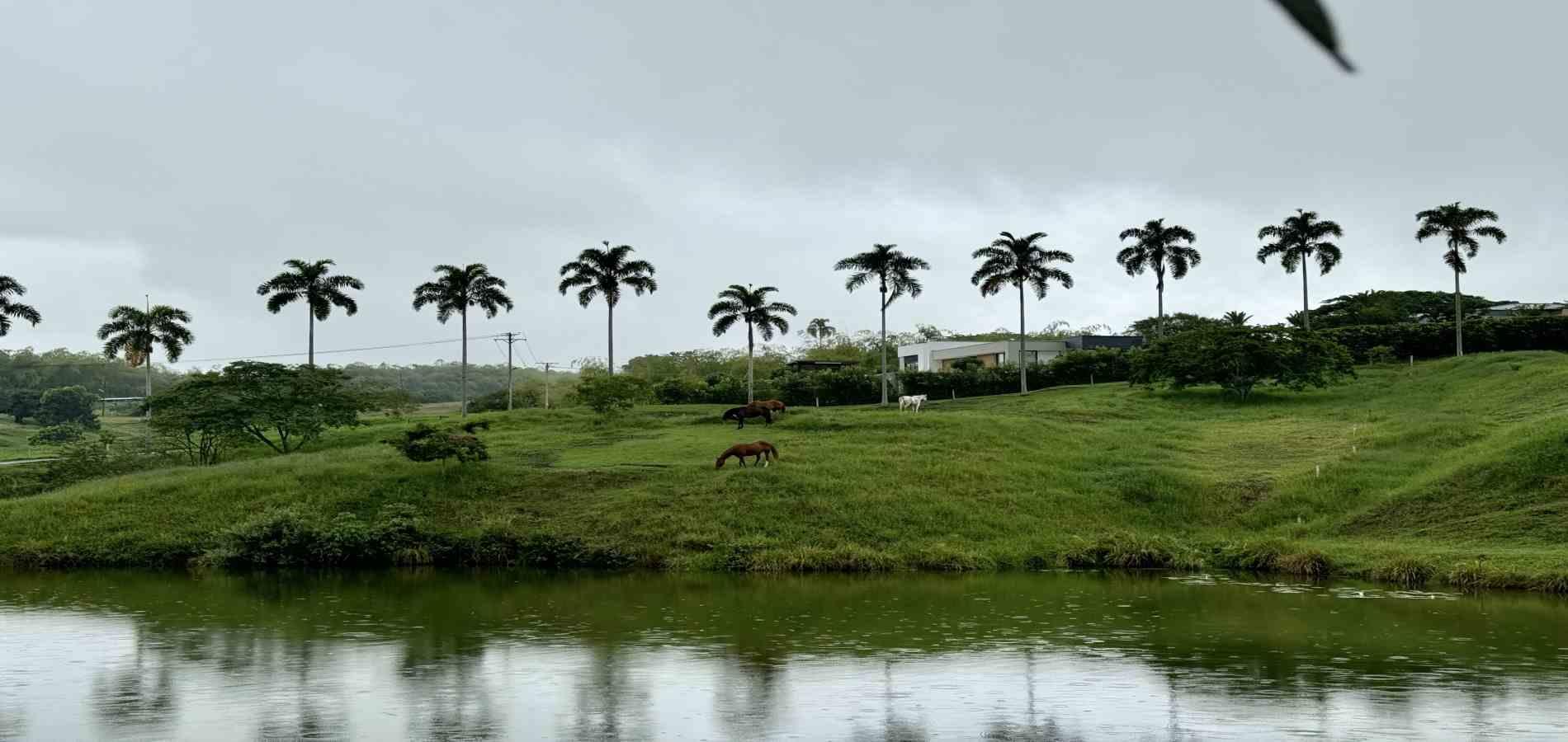 Foto de Lote / terreno en Venta en Cerritos, Pereira - 4 - 279059921