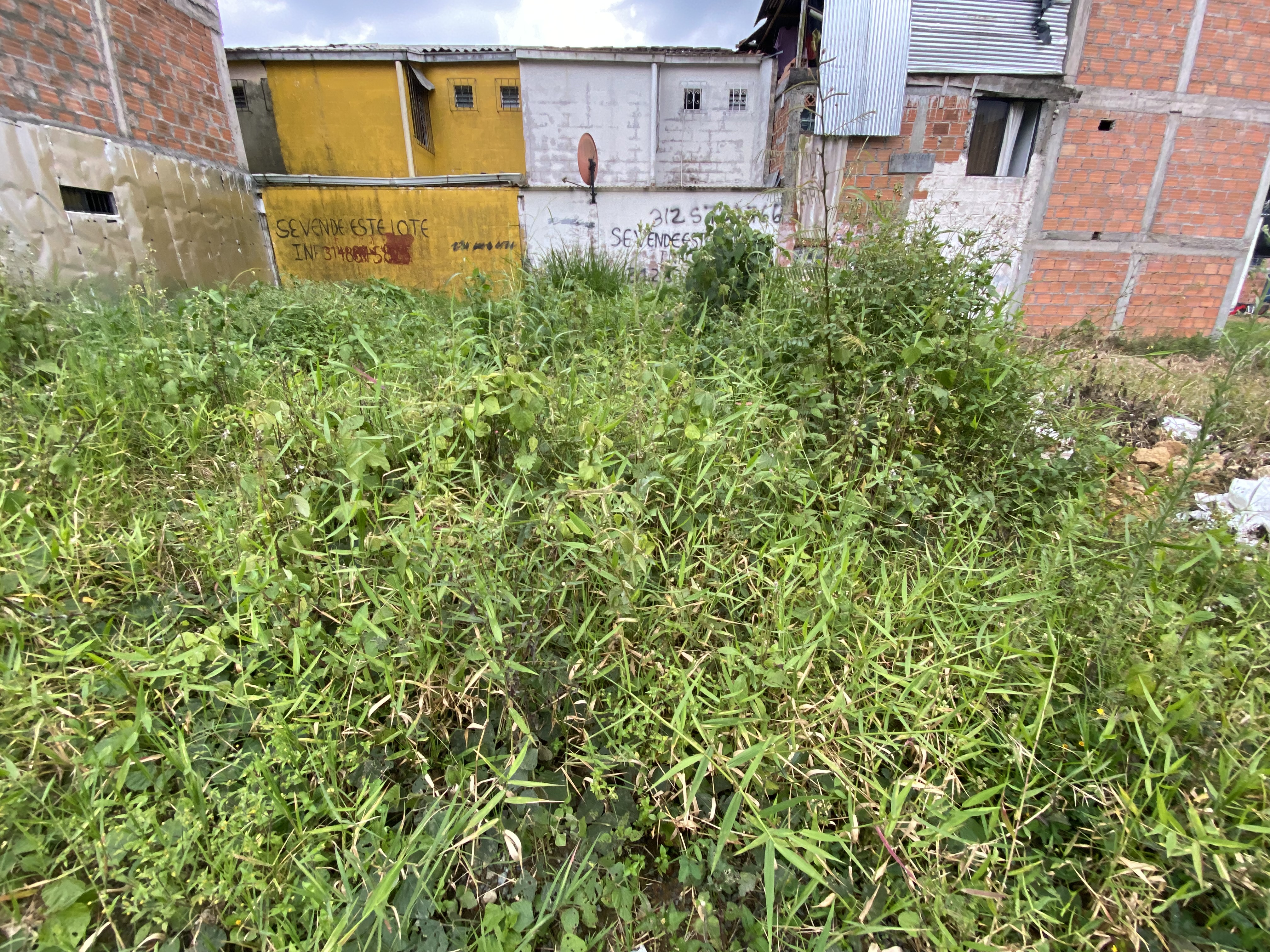 Foto de Lote / terreno en Venta en Colinas del bosque, Dosquebradas - 2 - 279066259