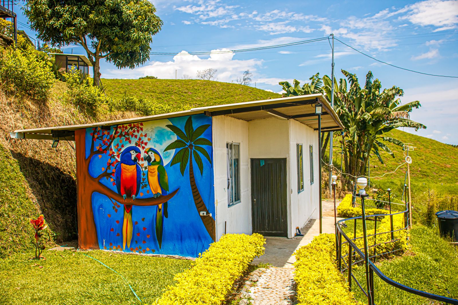 Foto de Finca en Venta en Vereda santagueda, Palestina - 7 - 279067633