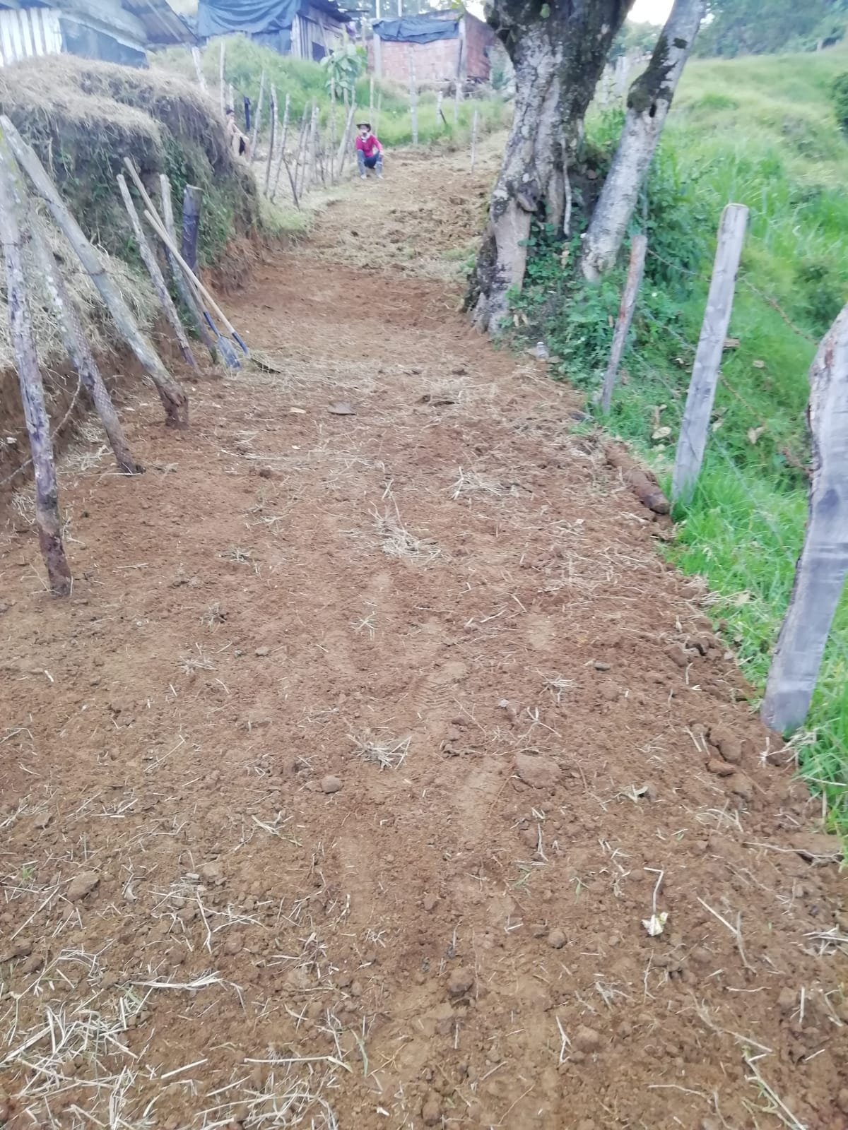 Foto de Finca en Venta en Padua, Libano - 20 - 279020339