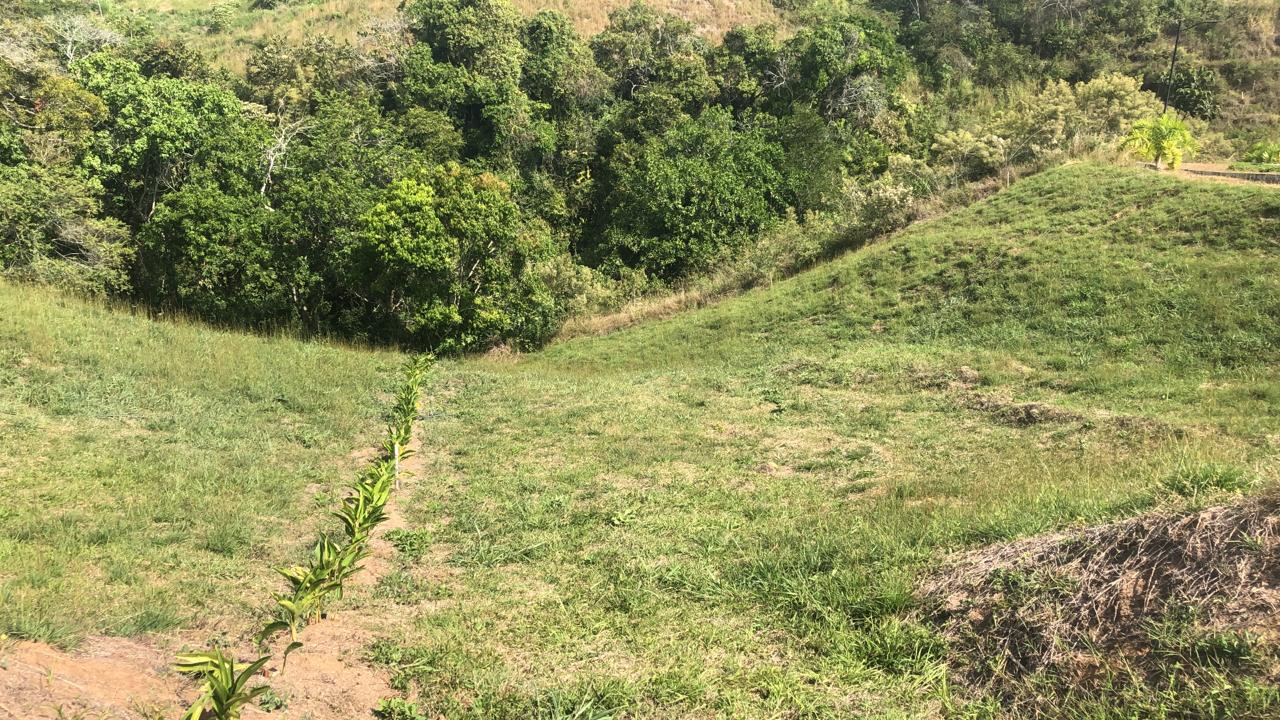 Foto de Lote / terreno en Venta en Cerritos, Pereira - 16 - 279055628