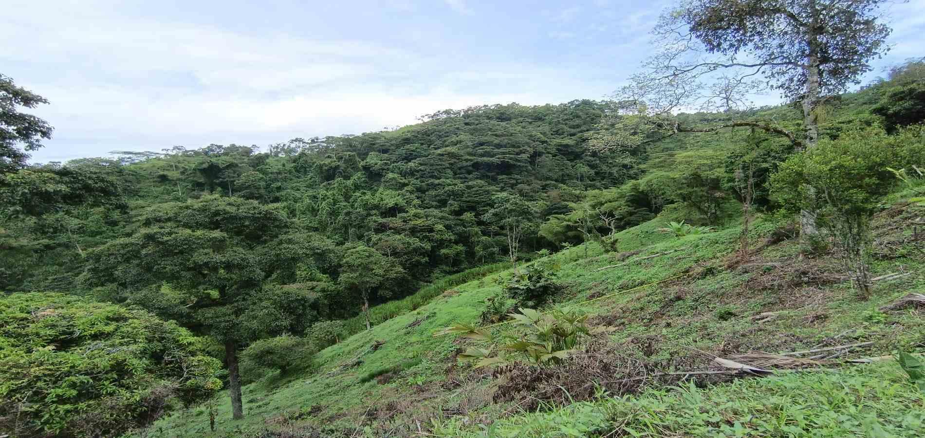 Foto de Lote / terreno en Venta en Vereda minitas , Manizales - 13 - 279068548