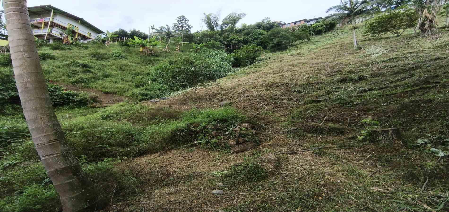 Foto de Lote / terreno en Venta en Vereda la trinidad, Manizales - 23 - 279066610