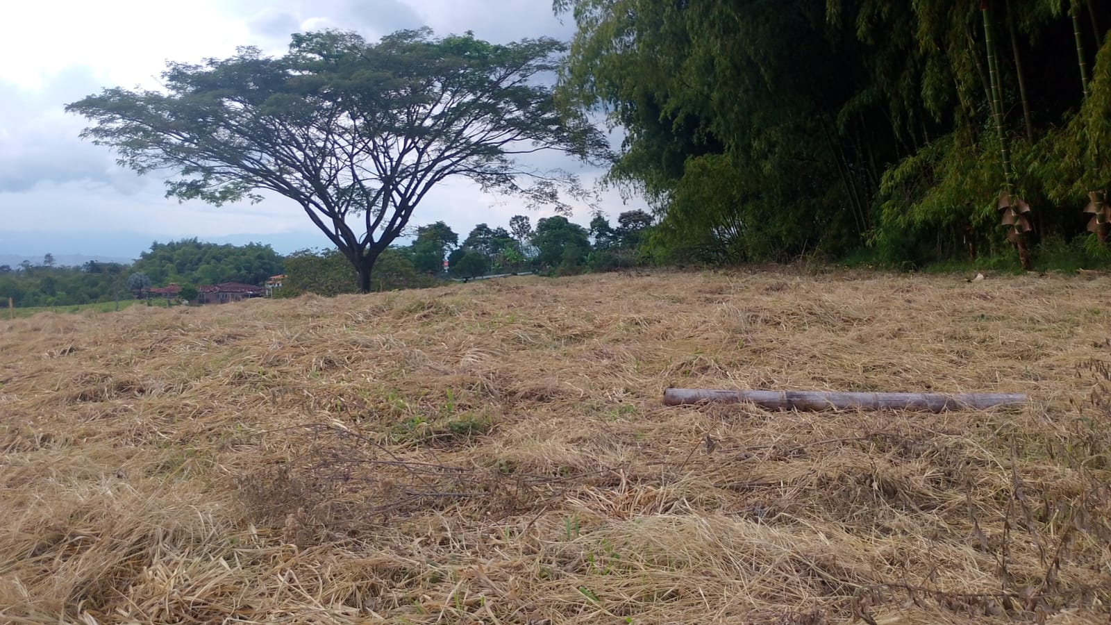 Foto de Lote / terreno en Venta en Filandia, Filandia - 24 - 279066842