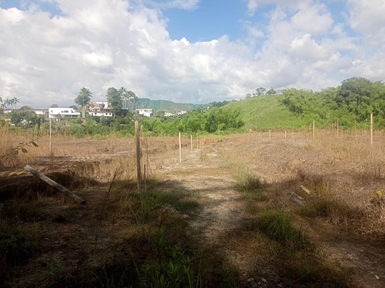 Foto de Lote / terreno en Venta en Via armenia, Pereira - 13 - 279052343