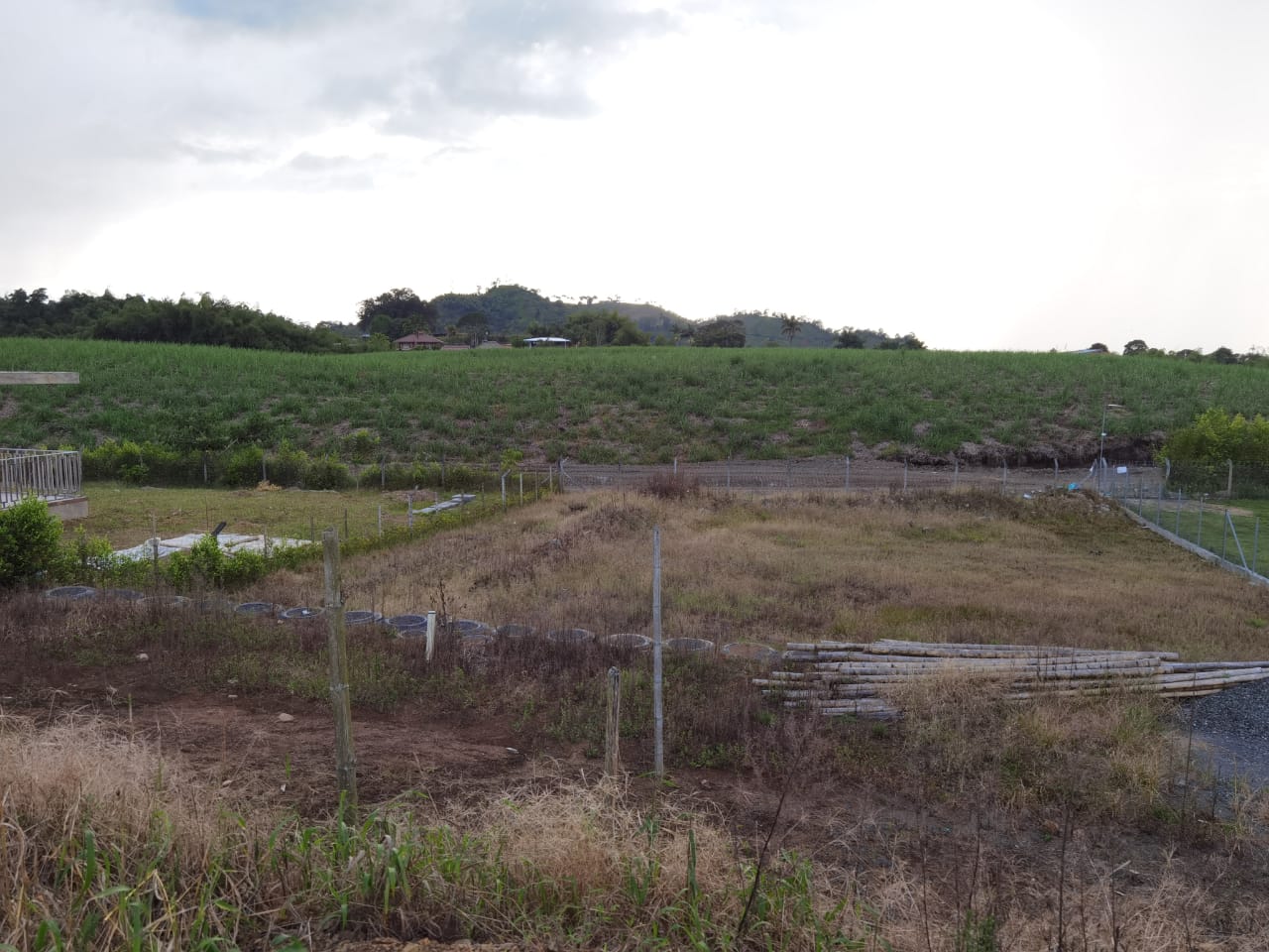 Foto de Lote / terreno en Venta en Combia, Pereira - 10 - 279053691