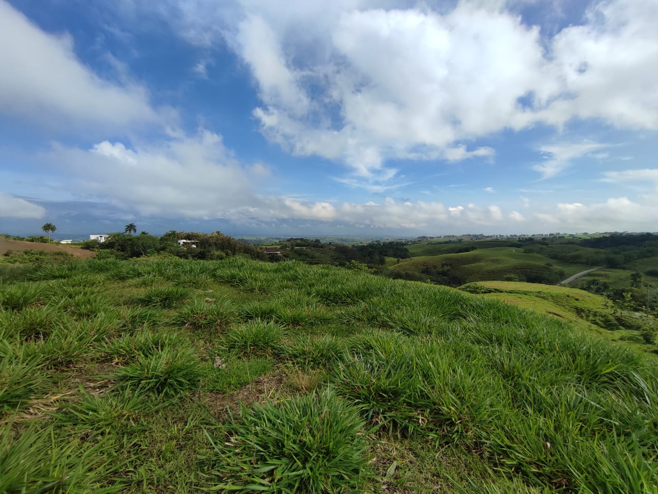 Foto de Lote / terreno en Venta en Cerritos, Pereira - 4 - 279063214