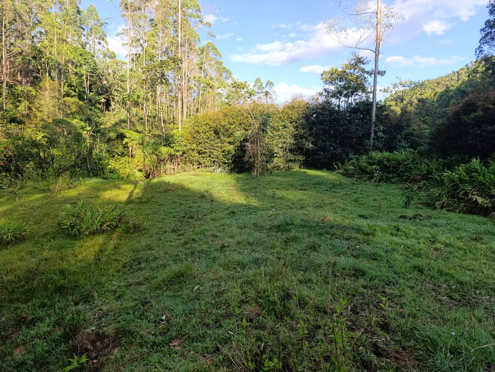 Foto de Lote / terreno en Venta en Santa rosa de cabal, Santa rosa de cabal - 11 - 279064480