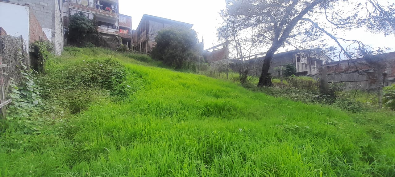 Foto de Lote / terreno en Venta en Urapanes, Villamaria - 9 - 53078