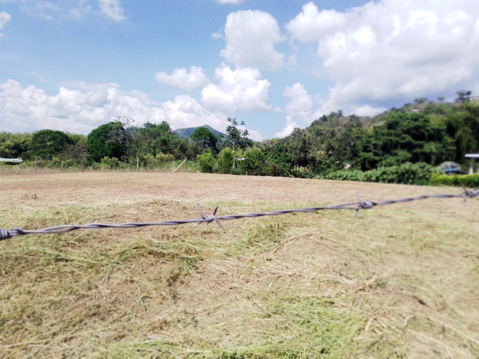 Foto de Lote / terreno para Venta en Combia, Pereira - 279063700