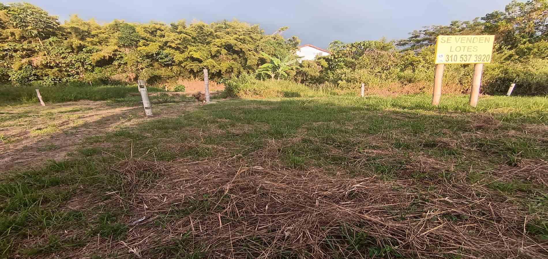 Foto de Lote / terreno en Venta en UrbanizaciÓn santana, Armenia  - 28 - 279059323