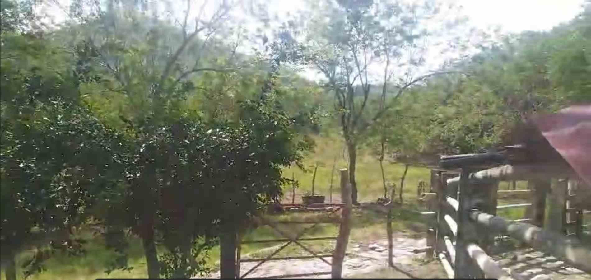 Foto de Finca en Venta en La florida, Filadelfia - 14 - 279064213