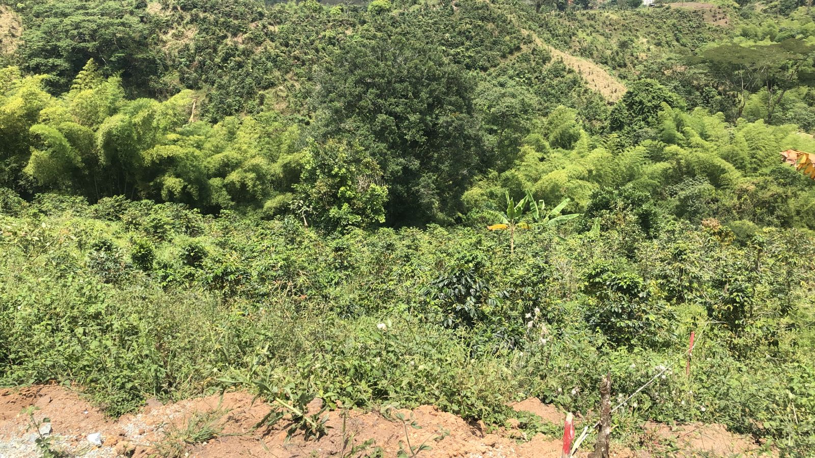 Foto de Lote / terreno en Venta en Dosquebradas, Dosquebradas - 10 - 279053269