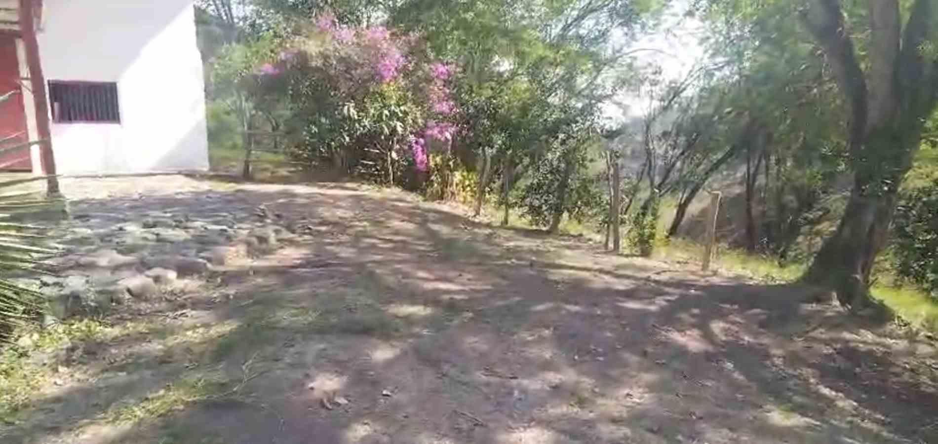 Foto de Finca en Venta en La florida, Filadelfia - 12 - 279064213