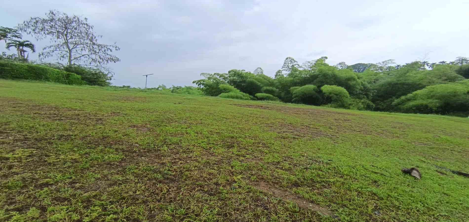 Foto de Lote / terreno en Venta en Vereda la trinidad, Manizales - 22 - 279069692