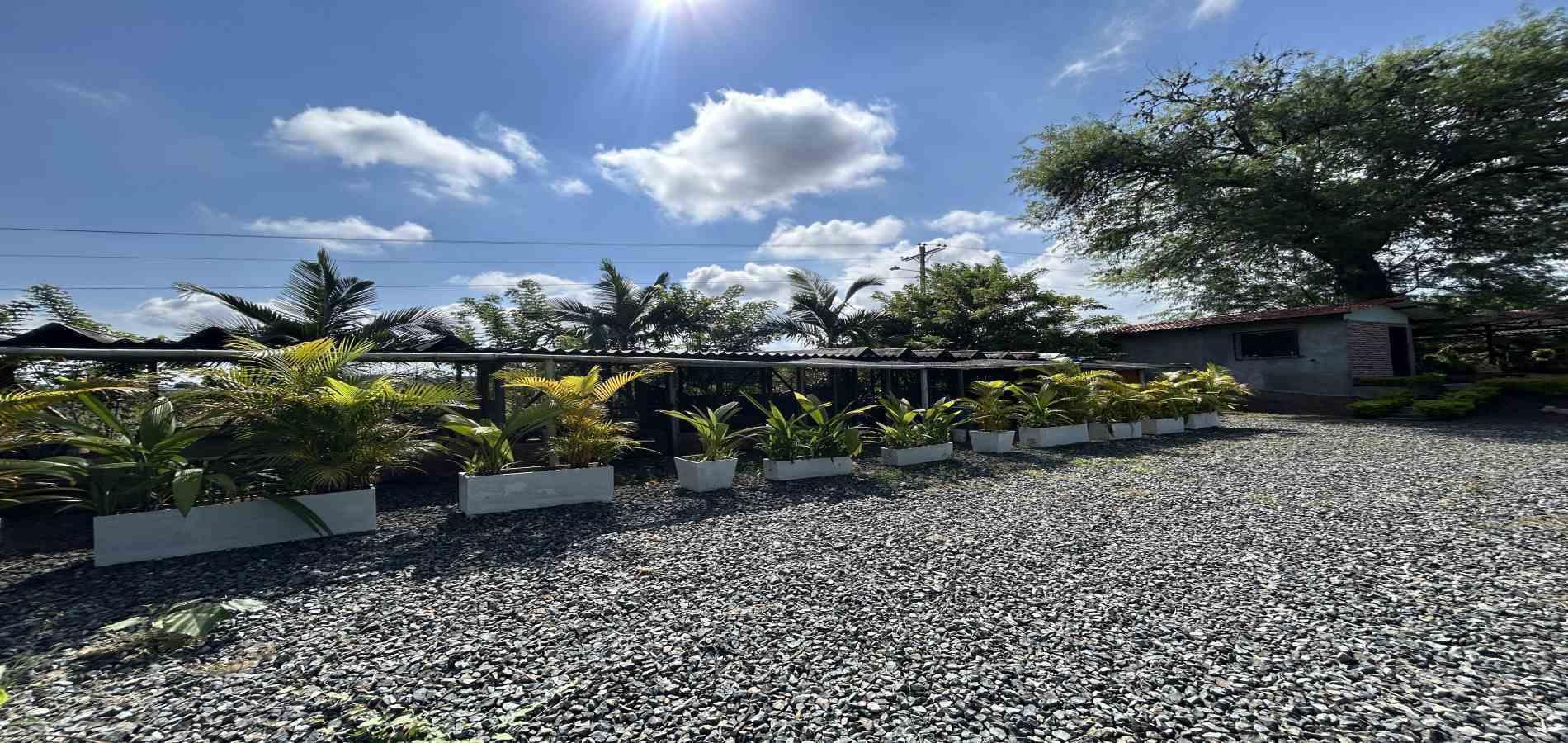 Foto de Lote / terreno en Venta en Cerritos, Pereira - 1 - 279068246
