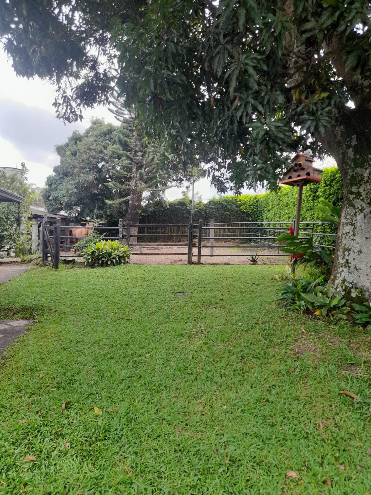 Foto de Finca en Arriendo en Morelia, Pereira - 9 - 279064174