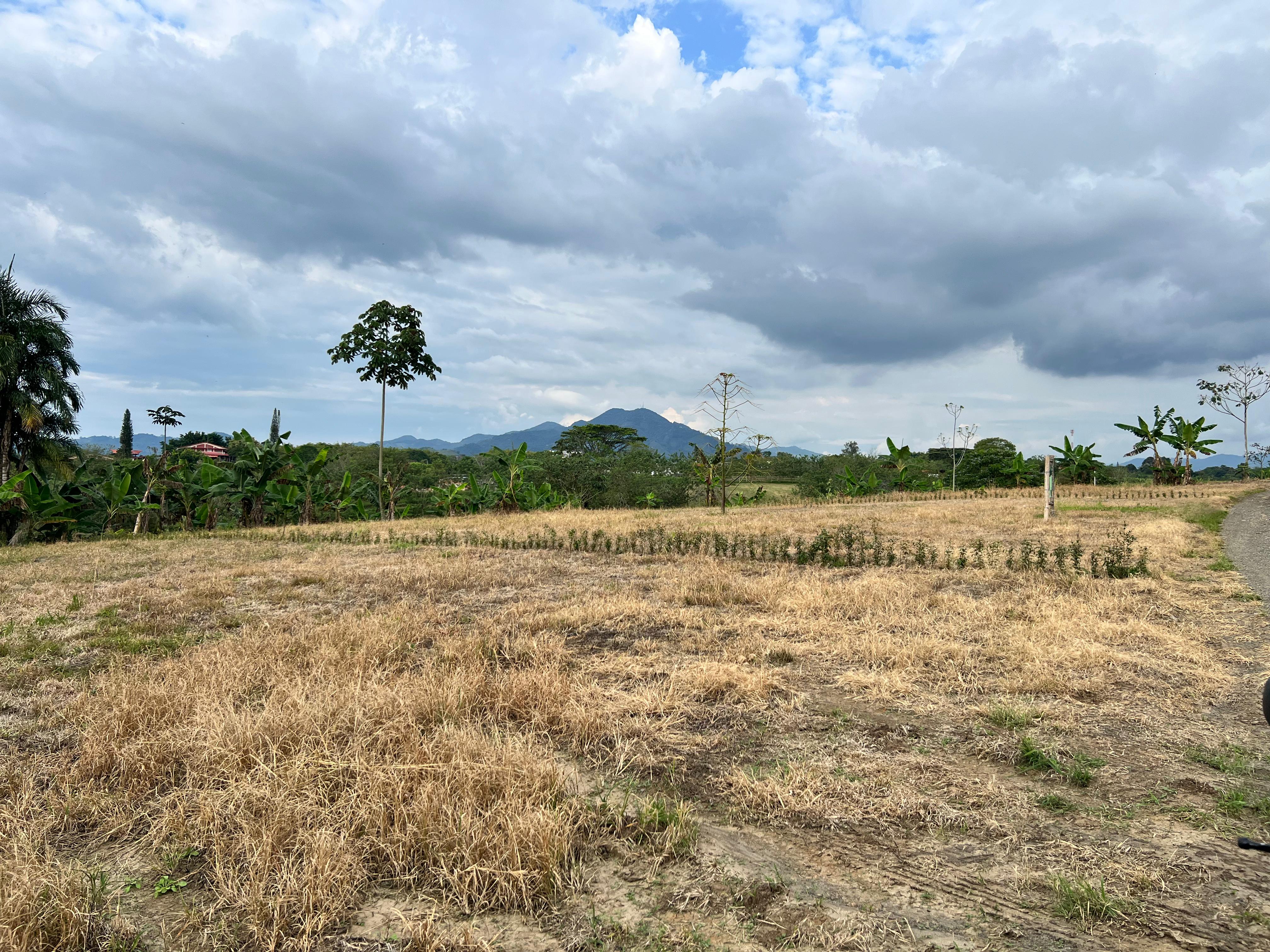 Foto de Lote / terreno en Venta en Filandia, Filandia - 7 - 279066855