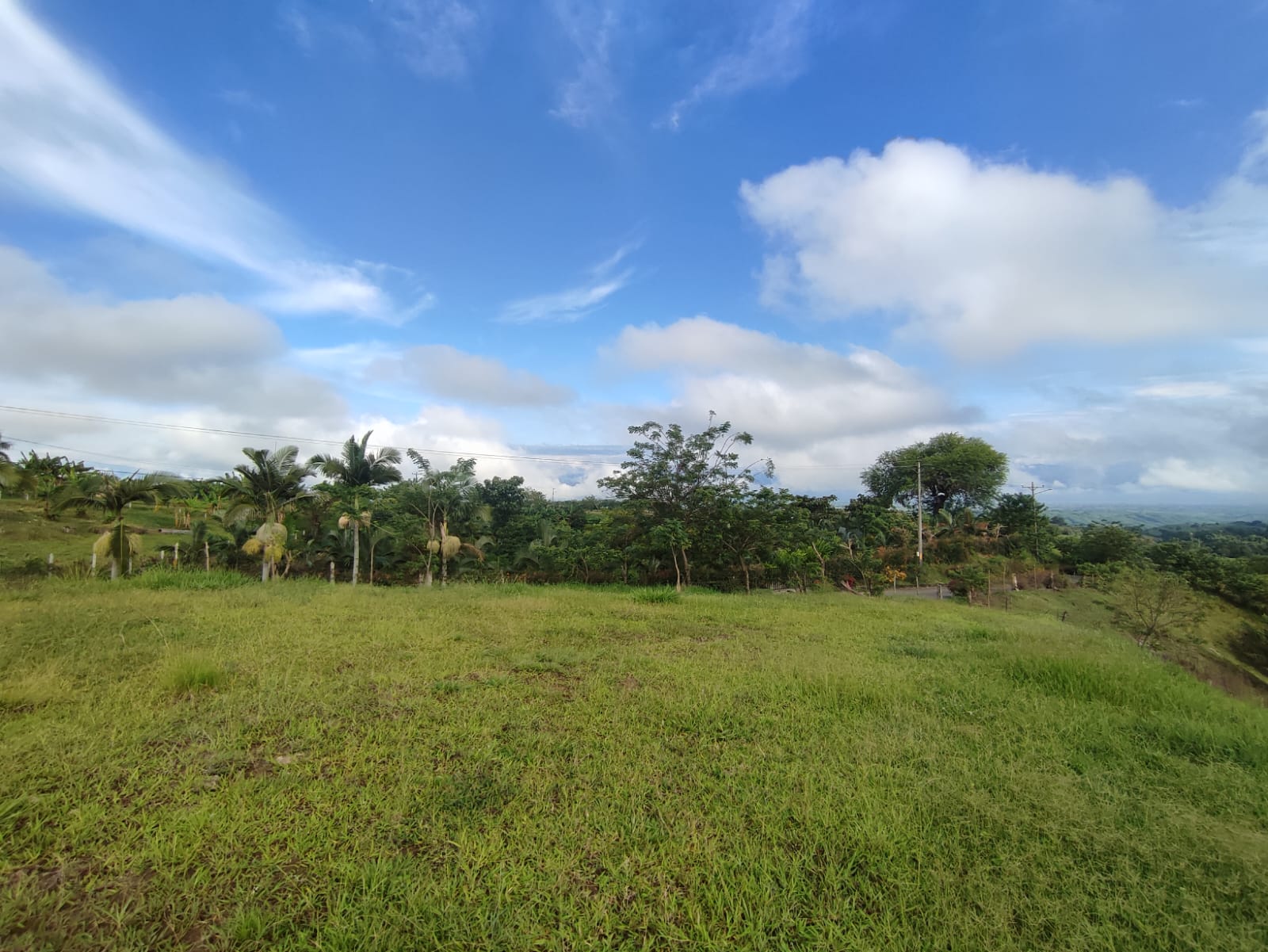 Foto de Lote / terreno en Venta en Cerritos, Pereira - 11 - 279063207