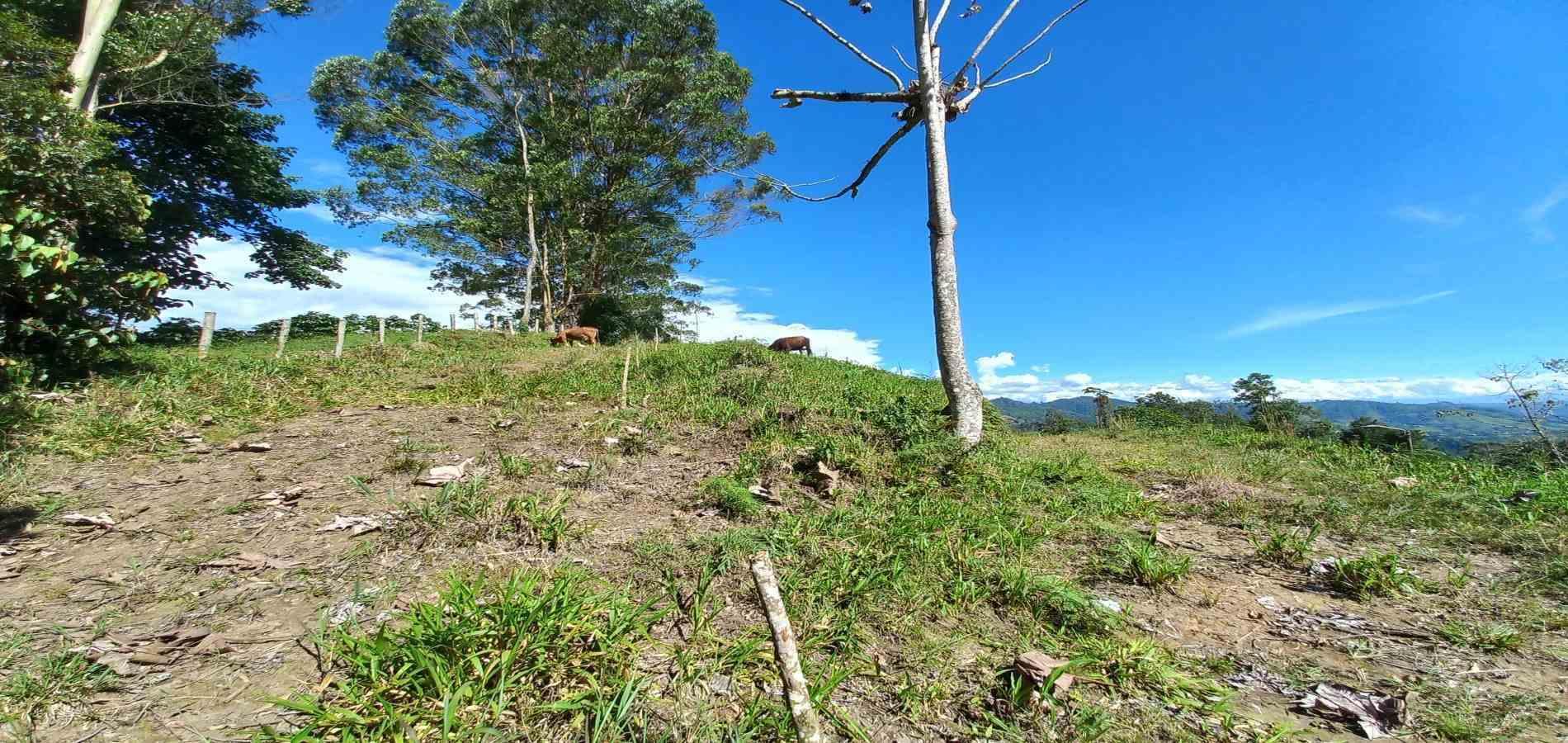 Foto de Lote / terreno en Venta en Otro, Dosquebradas - 9 - 279067985