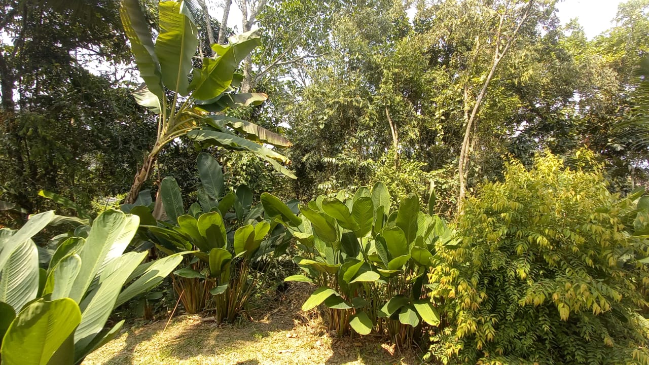 Foto de Lote / terreno en Venta en San peregrino, Manizales - 19 - 279056653