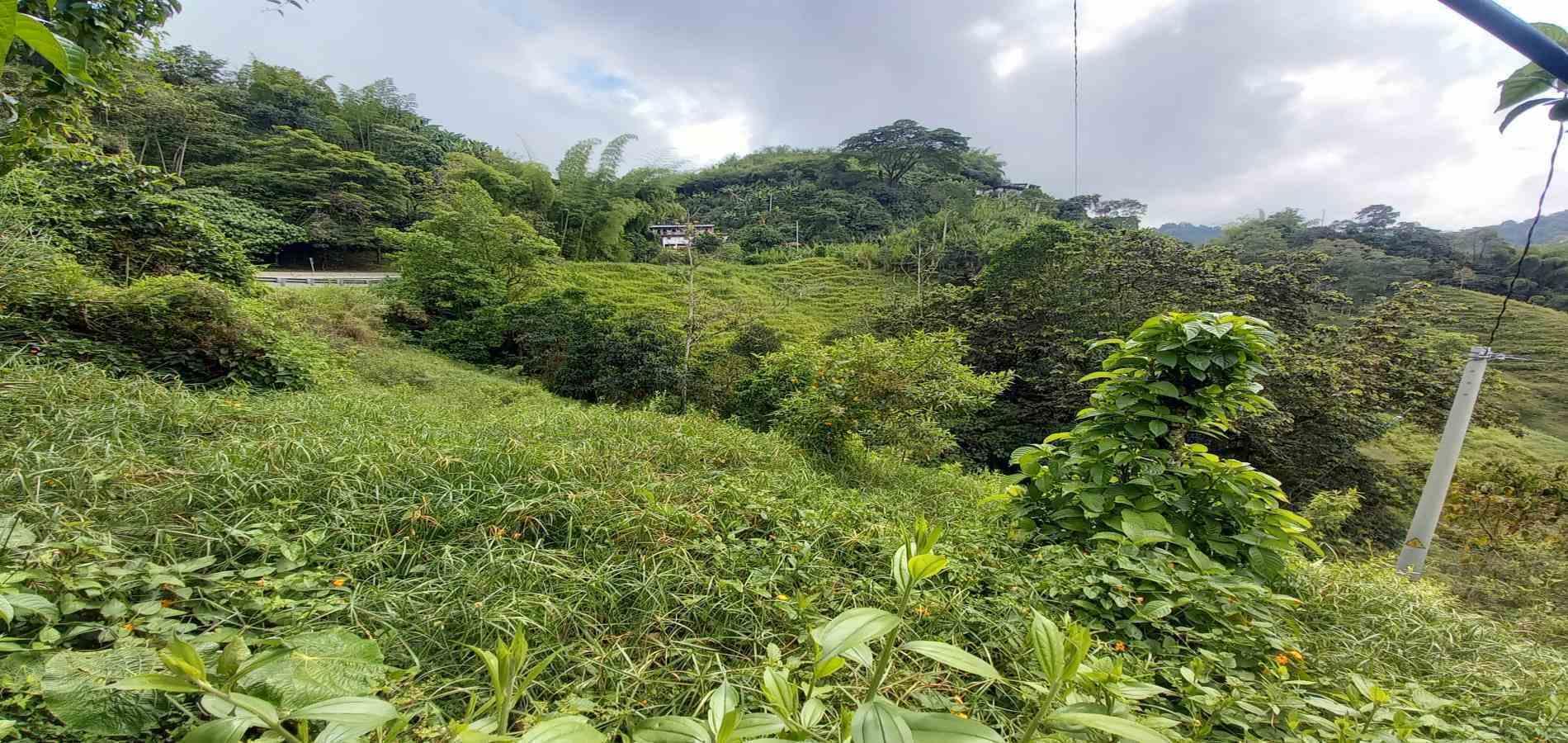 Foto de Lote / terreno en Venta en Vereda la trinidad, Manizales - 6 - 279062688