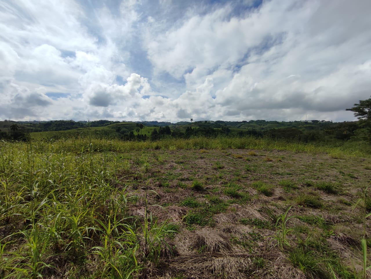 Foto de Lote / terreno en Venta en Centro, Pereira - 7 - 279063218