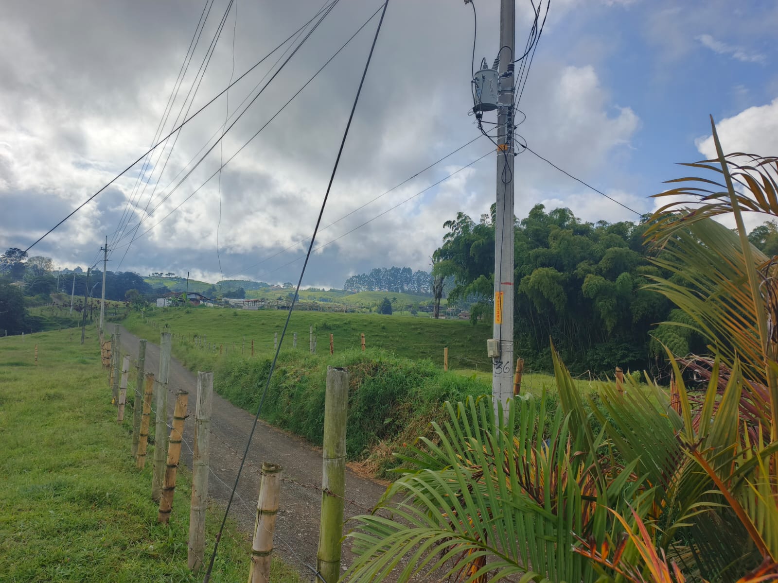 Foto de Finca en Venta en La graminea, Pereira - 1 - 279066703