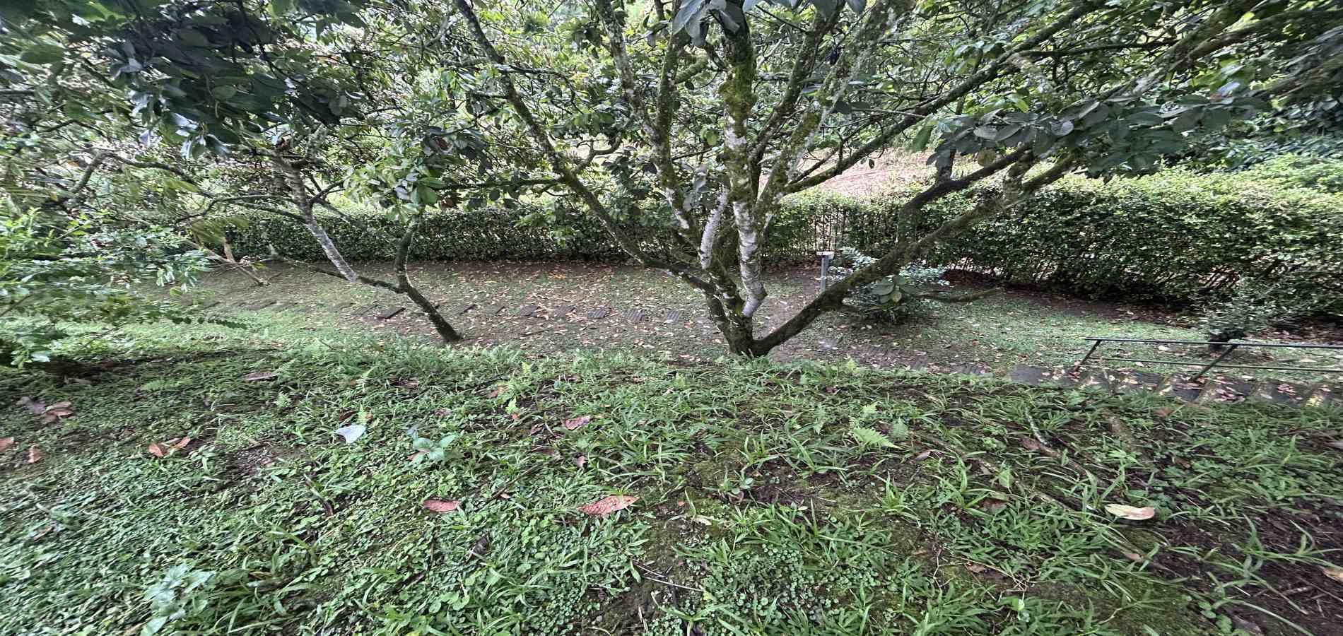 Foto de Casa en Venta en Av sur, Pereira - 5 - 279068276