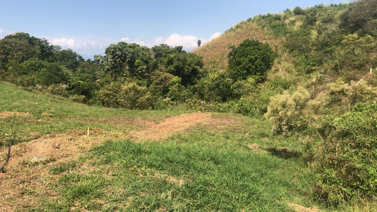 Foto de Lote / terreno en Venta en Centro, Pereira - 11 - 279055598