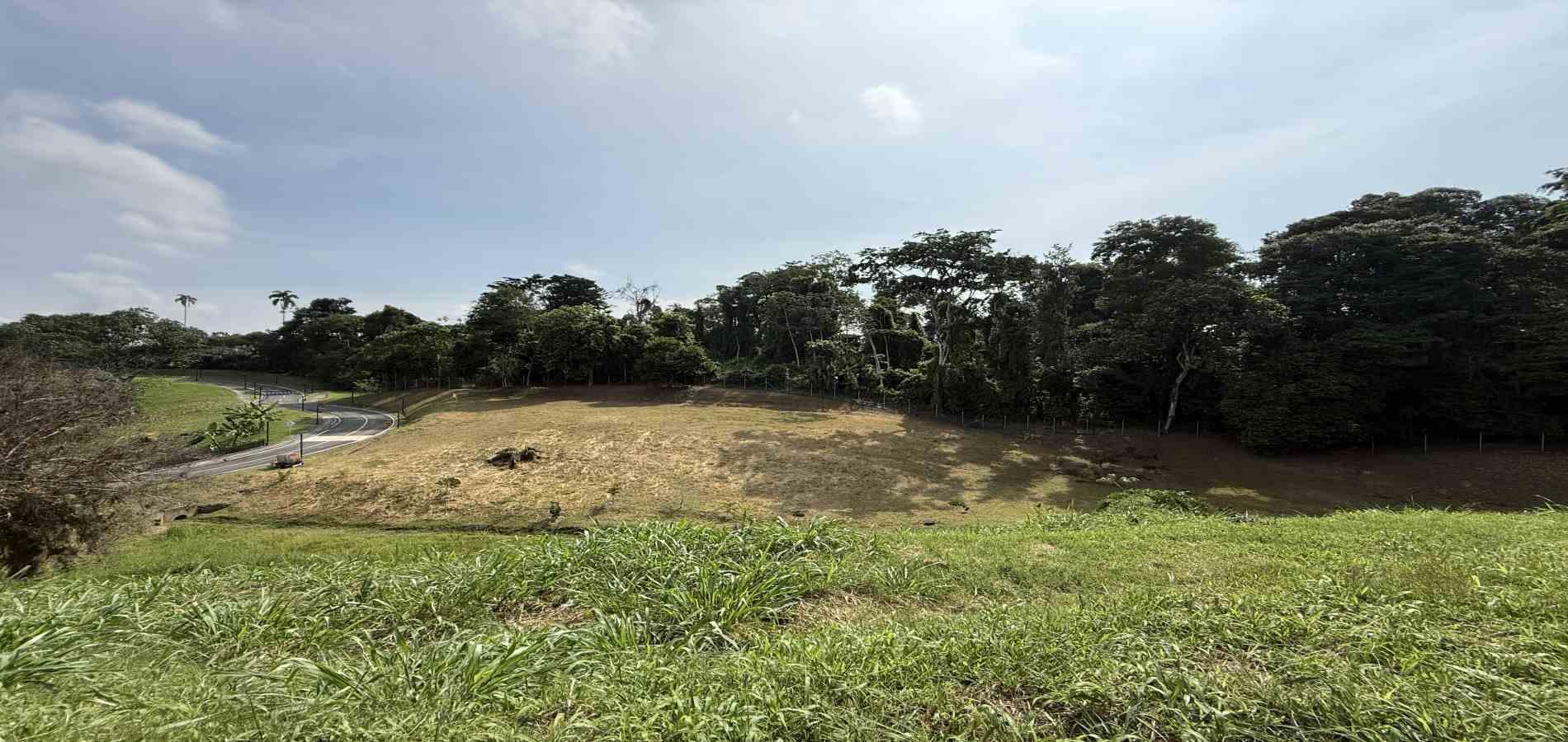 Foto de Lote / terreno para Venta en Cerritos, Pereira - 279062244