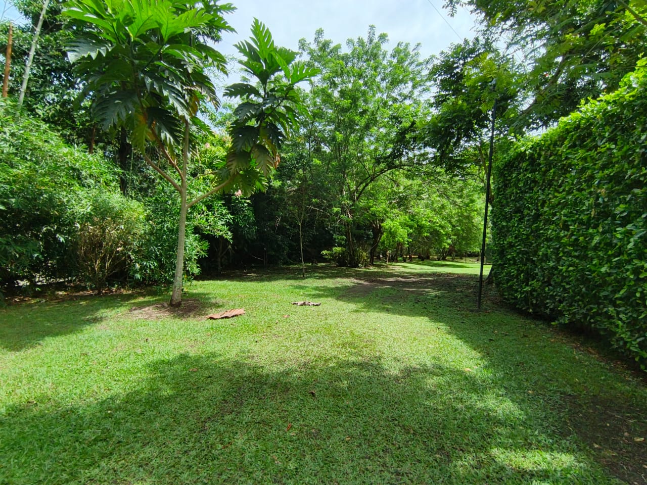 Foto de Lote / terreno en Venta en Condominio campestre reserva del campo, Manizales - 7 - 279064110