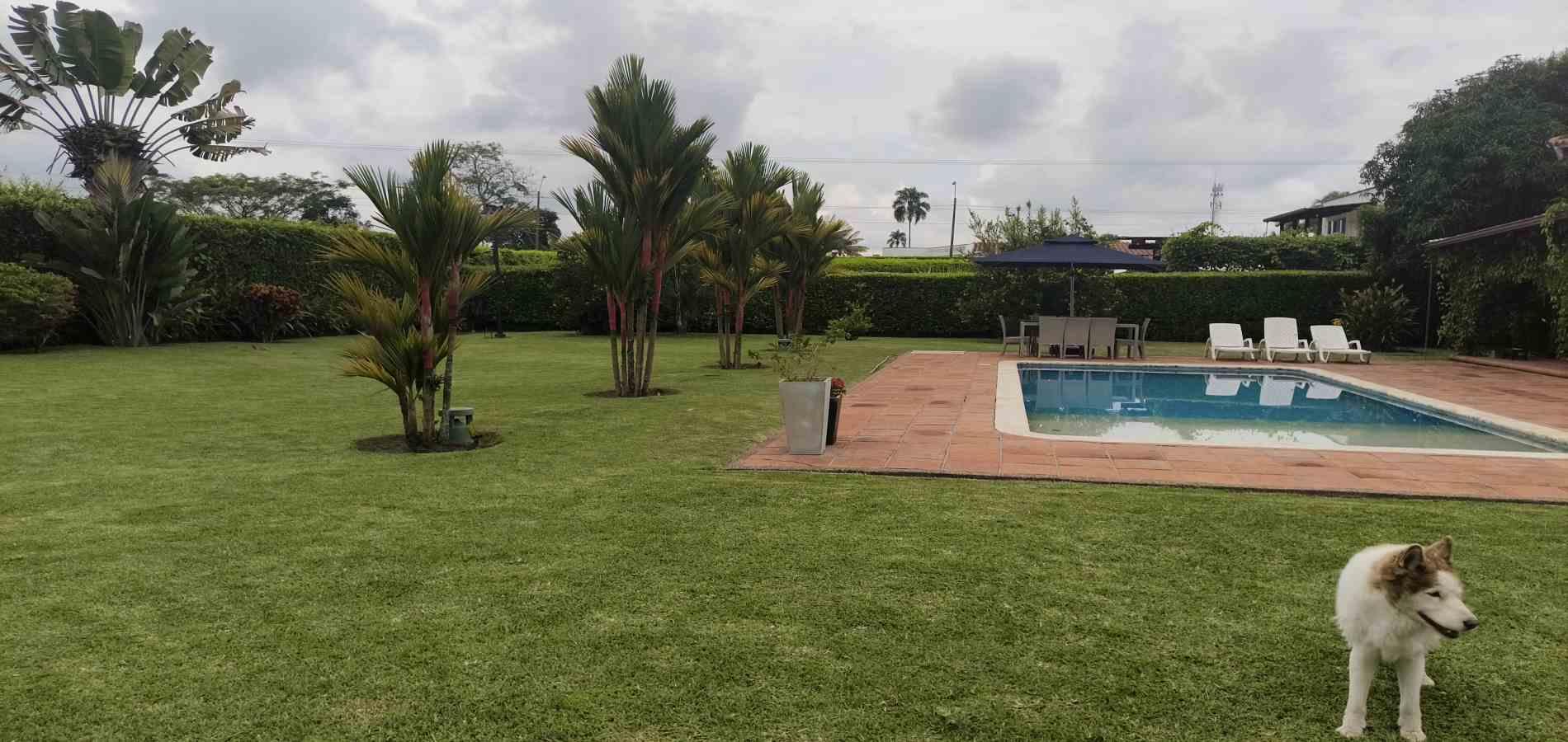 Foto de Casa en Arriendo en El caimo, Armenia  - 45 - 279066662