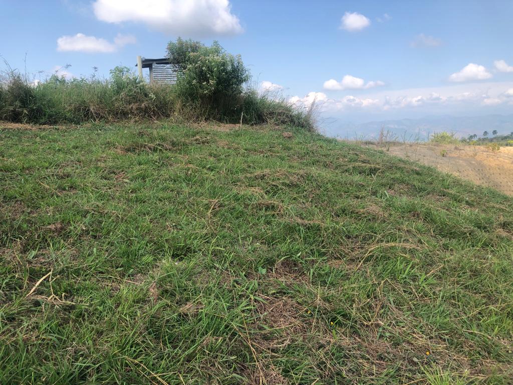 Foto de Lote / terreno en Venta en Cerritos, Pereira - 4 - 279055622