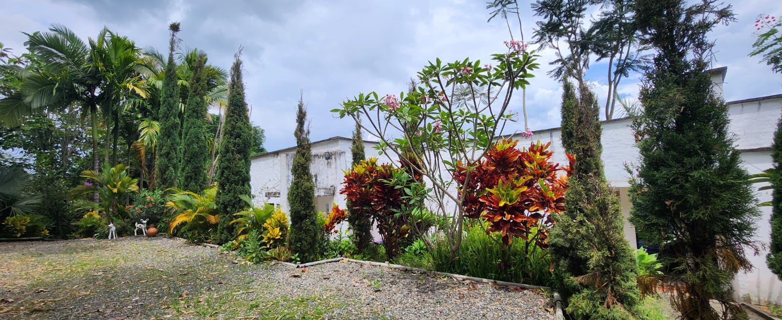 Foto de Edificio en Arriendo en Anserma nuevo, La virginia - 7 - 279060826