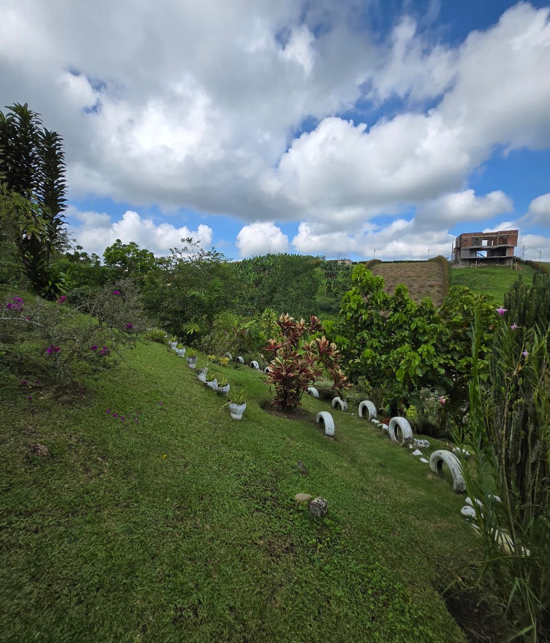 Foto de Finca en Venta en Morelia, Pereira - 5 - 279063954