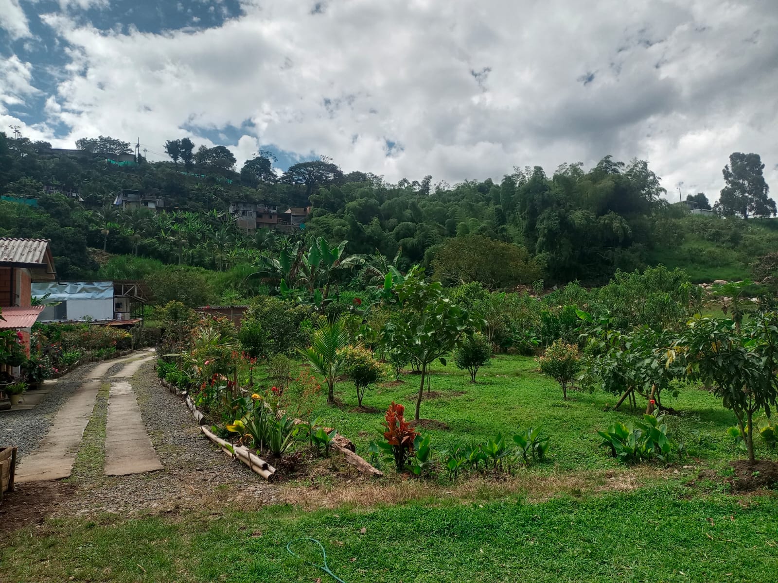 Foto de Finca en Venta en Centro, Santa rosa de cabal - 7 - 279052730