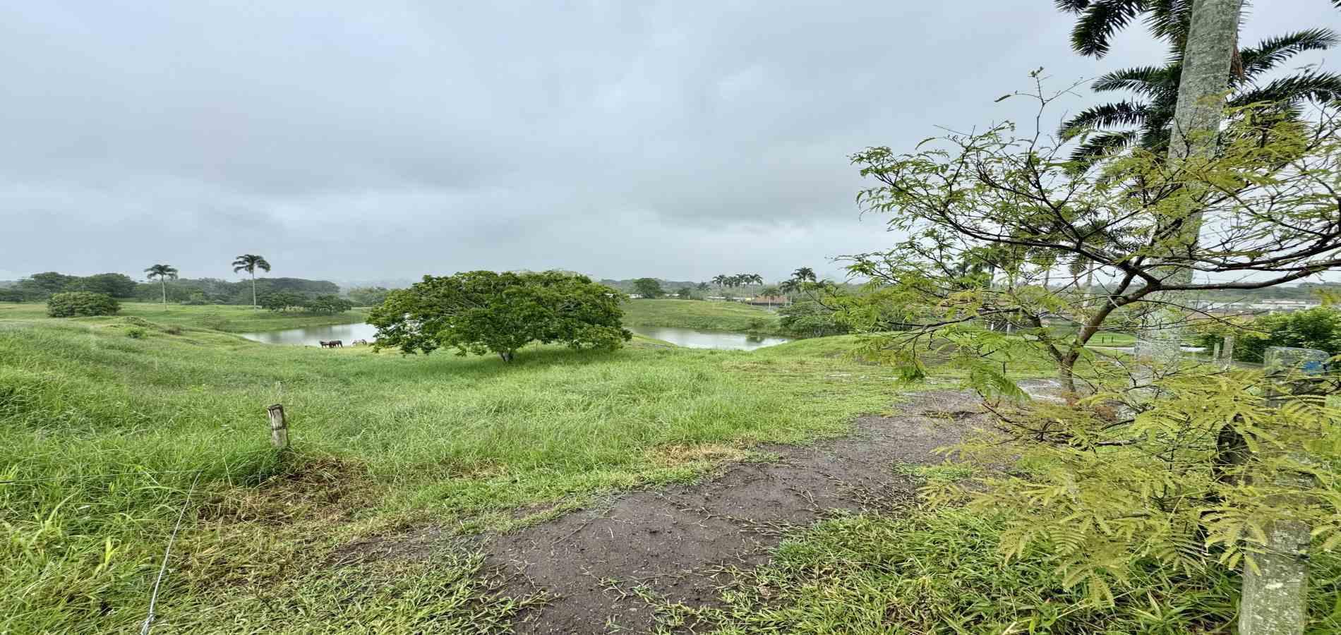 Foto de Lote / terreno en Venta en Cerritos, Pereira - 9 - 279059921
