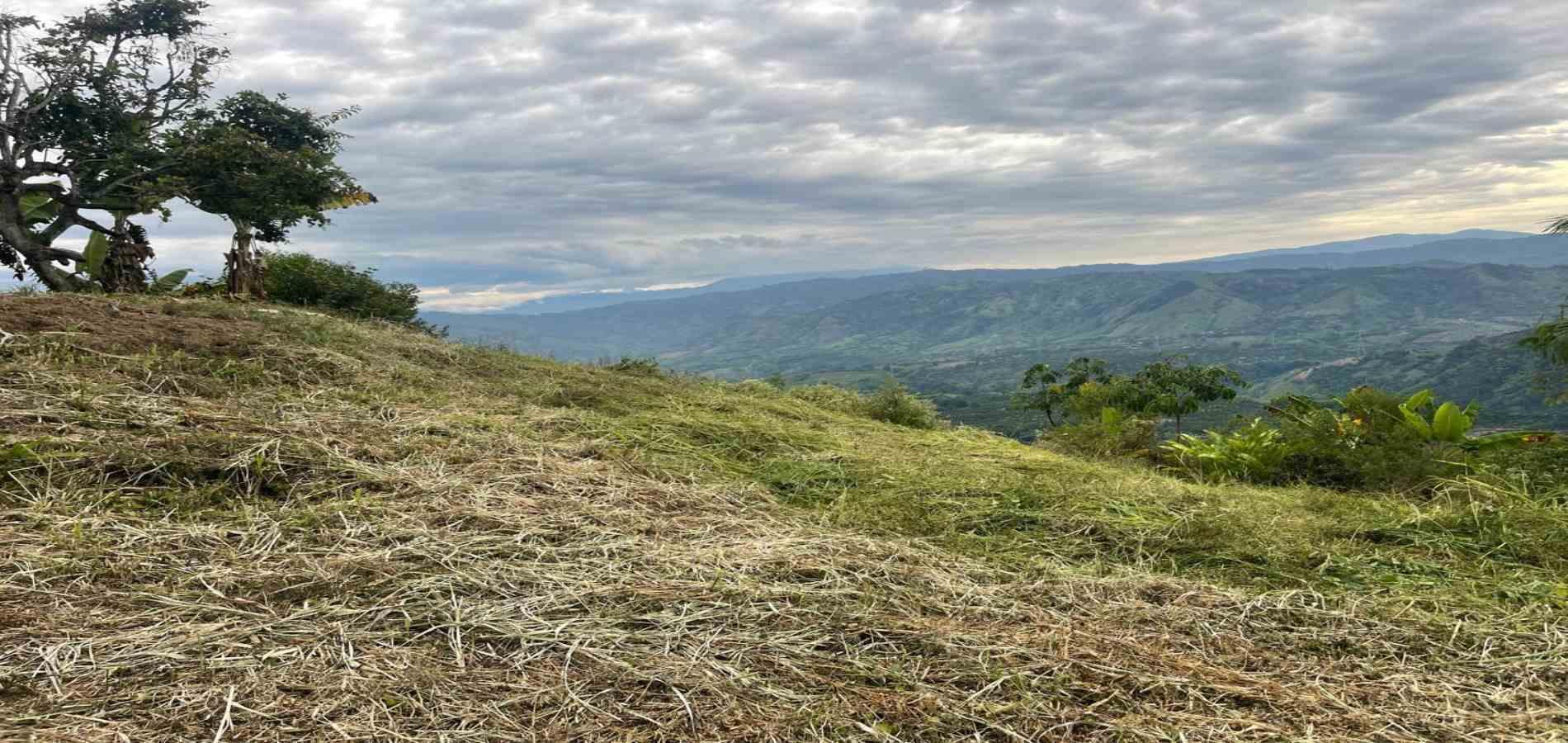 Foto de Finca en Venta en La plata, Palestina - 7 - 279070231