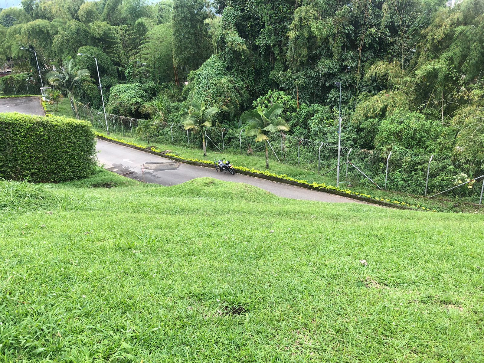 Foto de Lote / terreno en Venta en Av. la romelia el pollo, Dosquebradas - 10 - 279025660