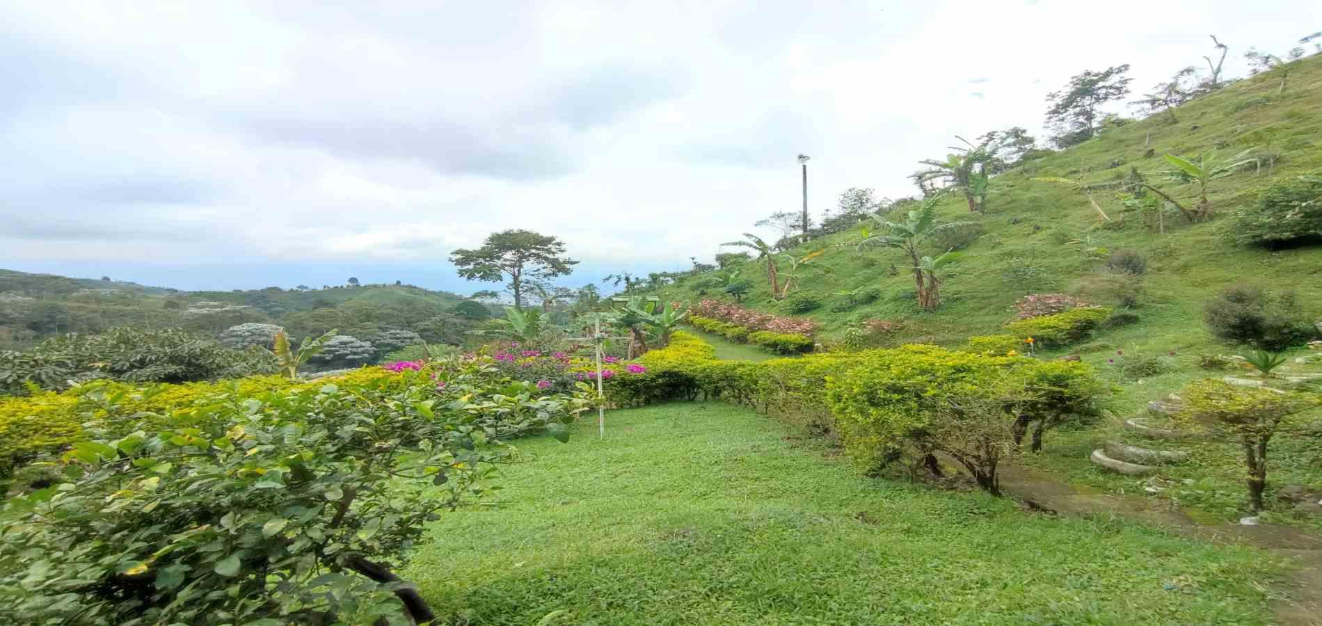 Foto de Finca en Venta en Vereda la independencia alto del nudo, Dosquebradas - 0 - 279065391